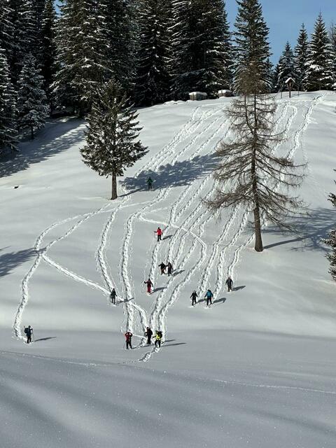 Ein ganz besonderes Erlebnis sind die Schneeschuhwanderungen in den Tiroler Bergen, die die Abteilung Alpin in der Saison 2025 an zwei Samstagen gemeinsam mit den Skikursen anbot. Hier die Gruppe auf dem Weg von Rinnen nach Brand.