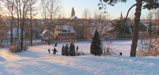 Am 10.01.2025 habe ich dieses Foto vom Korbacher "Hexengarten" mit Blick auf die "Kilians-Kirche" (Mitte) und den Turm der "Nikolai-Kirche" (re. im Bild) gemacht. | Foto: M. A.