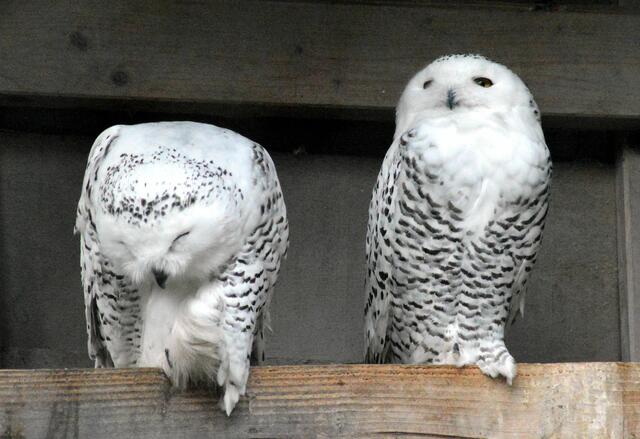 Für uns kann das Wetter so bleiben