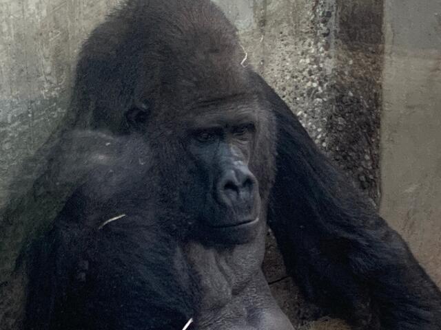 Im Tropenhaus lässt es sich aushalten 👍