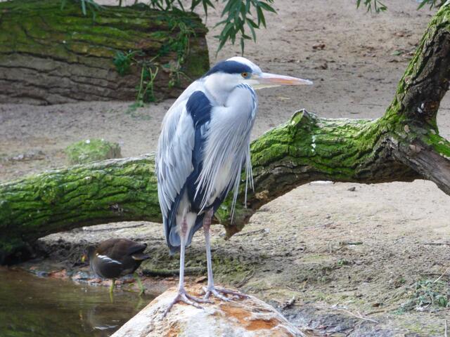Nun übertreibt mal nicht