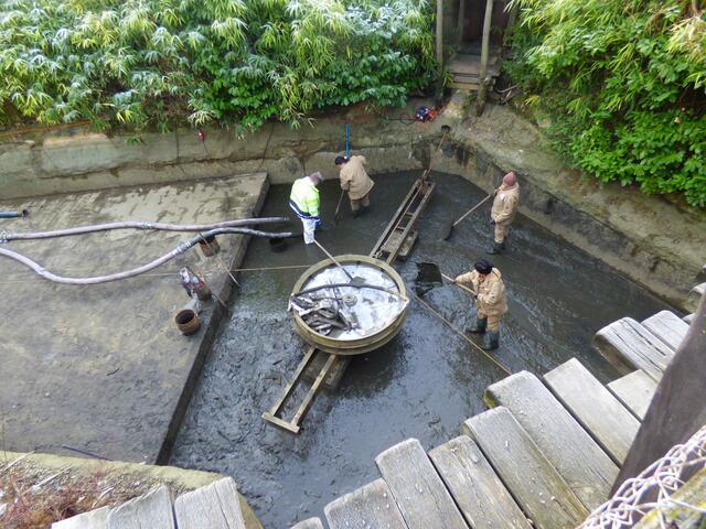 Der Sambesi wird für das Frühjahr vorbereitet
