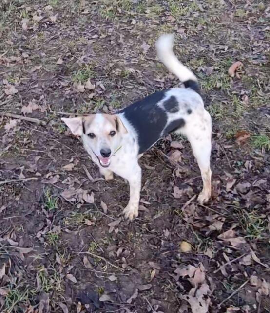 Lucia | Foto: Sabine Pollok