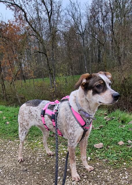 Elisa | Foto: Sabine Pollok