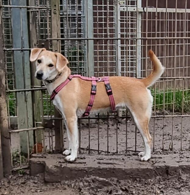 Loredana | Foto: Sabine Pollok