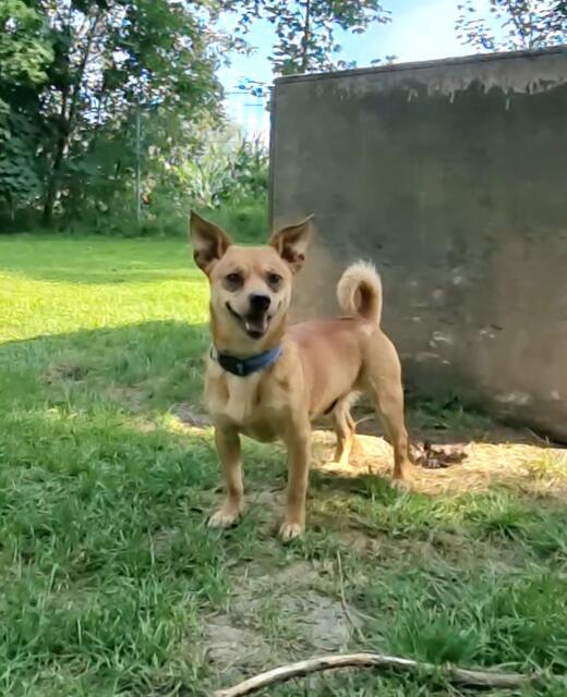 Benny | Foto: Sabine Pollok