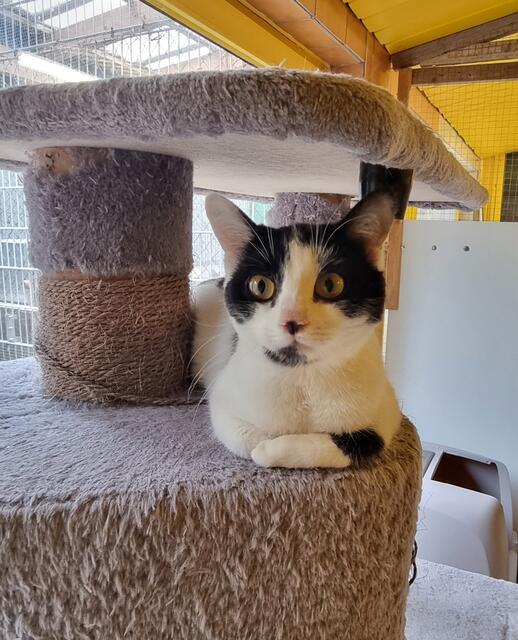 Yuna | Foto: Sabine Pollok