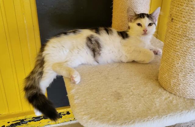 Fee | Foto: Sabine Pollok