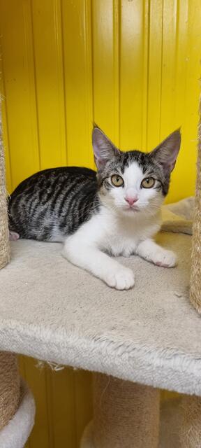 Fleur | Foto: Sabine Pollok