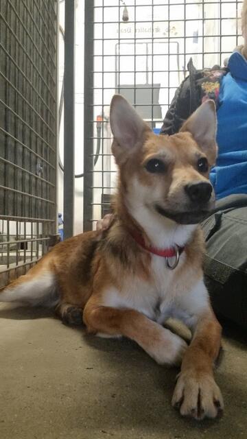 Jeronemo | Foto: Sabine Pollok