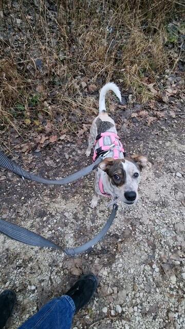 Elisa | Foto: Sabine Pollok