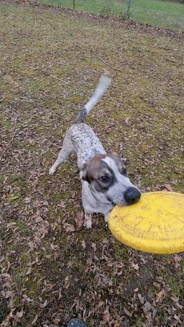 Eddy | Foto: Sabine Pollok