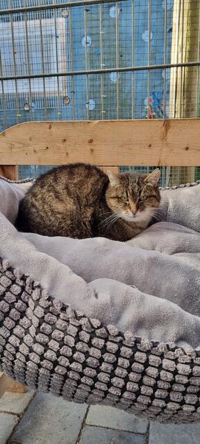 Granny | Foto: Sabine Pollok