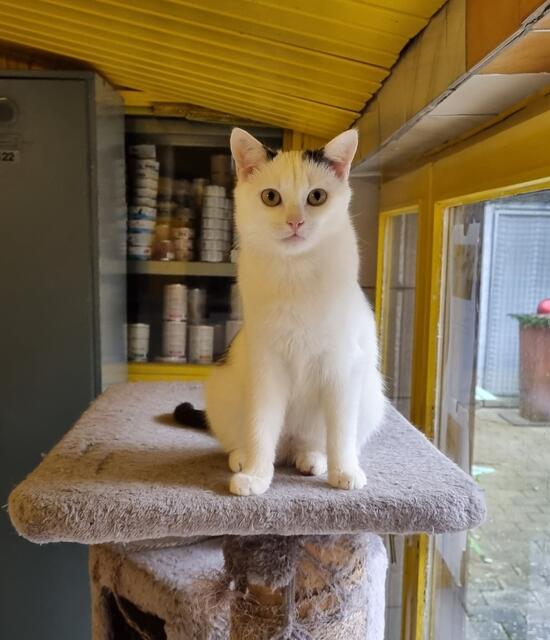 Snow | Foto: Sabine Pollok