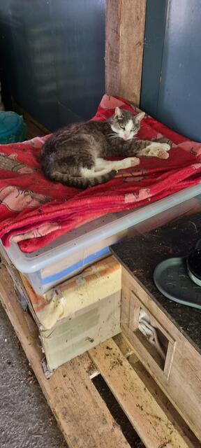 Shircan | Foto: Sabine Pollok