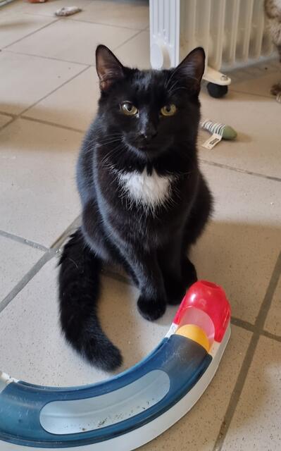 Thalia | Foto: Sabine Pollok