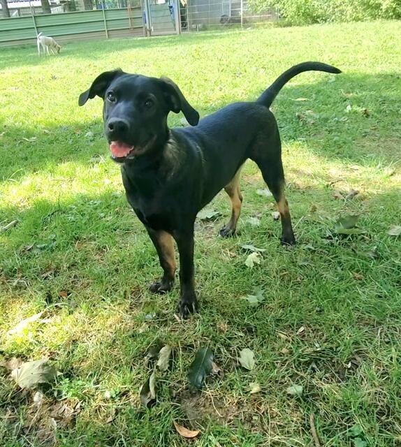 Elliot | Foto: Sabine Pollok