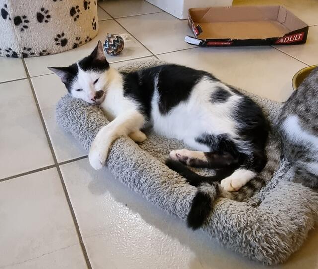 Alois | Foto: Sabine Pollok