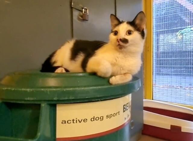 Alois | Foto: Sabine Pollok