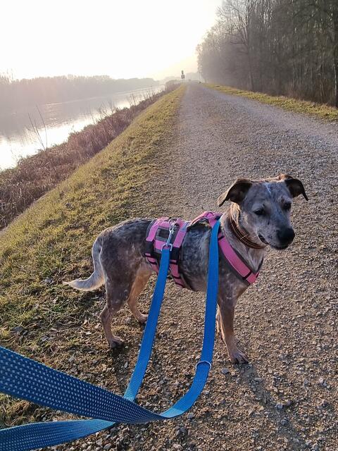 Emma | Foto: Sabine Pollok