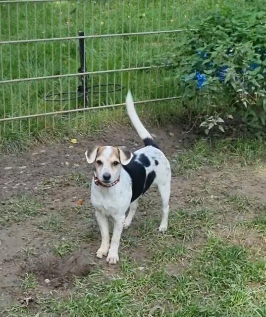 Lucia | Foto: Sabine Pollok