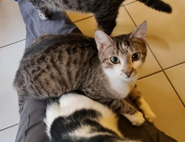 Anna | Foto: Sabine Pollok