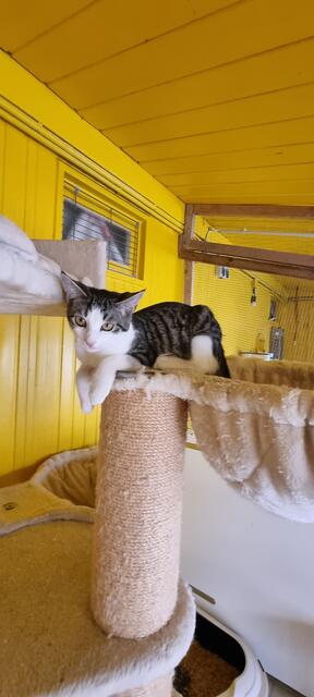 Fleur | Foto: Sabine Pollok