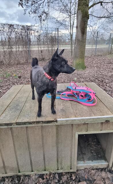 Schneewittchen | Foto: Sabine Pollok