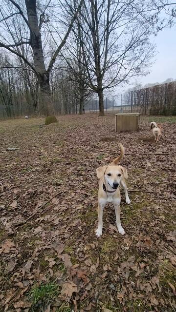 Lana | Foto: Sabine Pollok