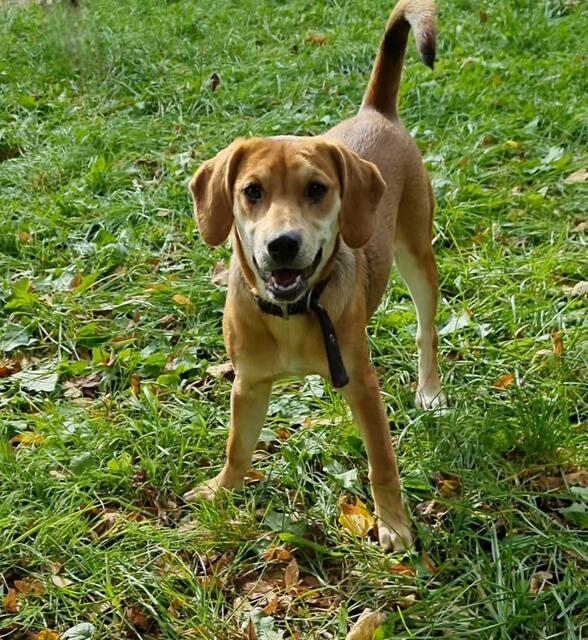 Lola | Foto: Sabine Pollok