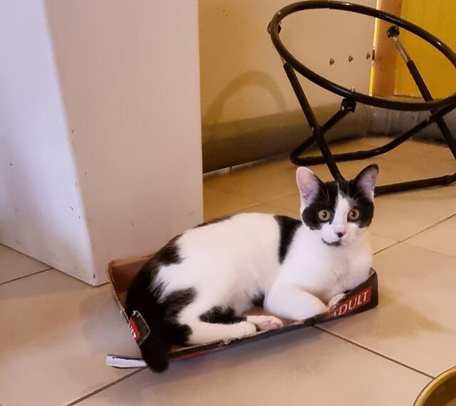 Yuna | Foto: Sabine Pollok