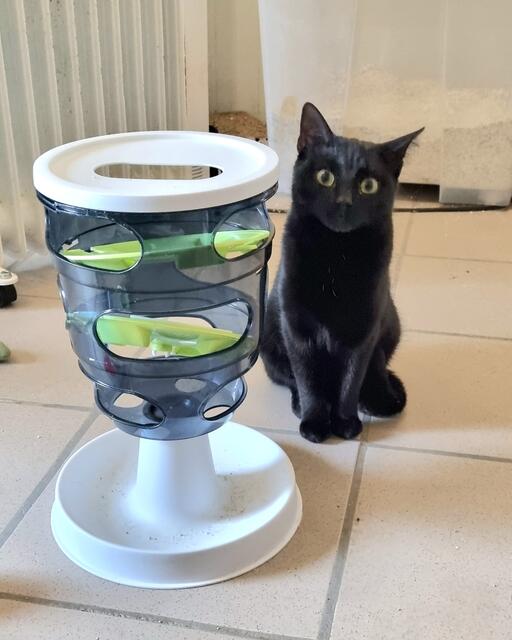 Feli | Foto: Sabine Pollok