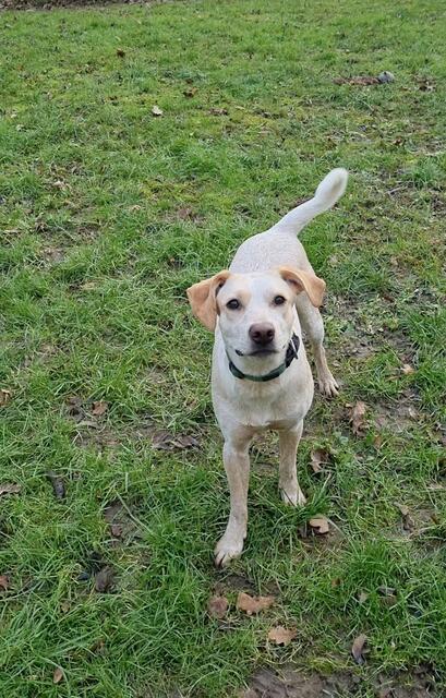 Emily | Foto: Sabine Pollok