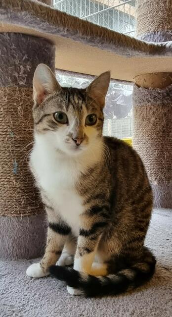 Anna | Foto: Sabine Pollok