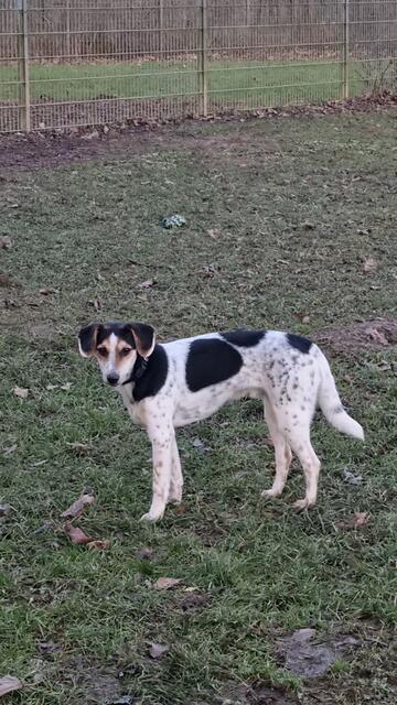 Luigi | Foto: Sabine Pollok