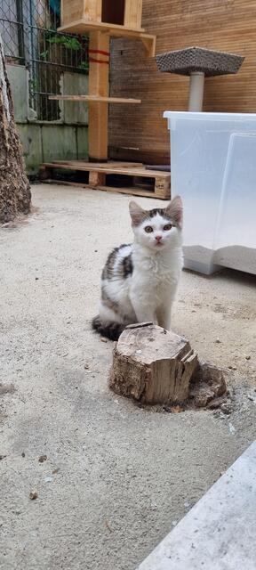 Fee | Foto: Sabine Pollok