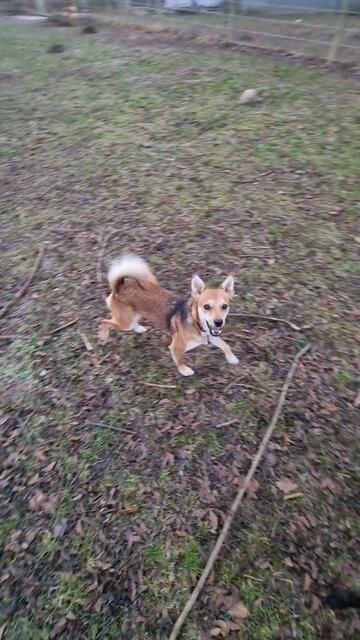 Jeronemo | Foto: Sabine Pollok