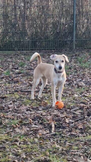 Lana | Foto: Sabine Pollok