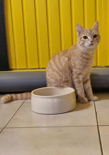 Biskuit | Foto: Sabine Pollok