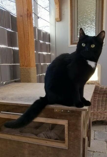 Thalia | Foto: Sabine Pollok