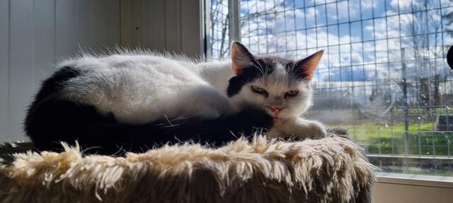 Sissi | Foto: Sabine Pollok