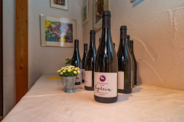 Benefiz-Dinner von Manfred Losinger und Sabina Scherer | Foto: FSeventfoto