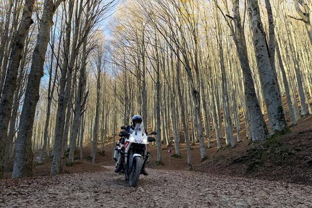 Foto: Bilder im Besitz von Destinazione Turistica Romagna
