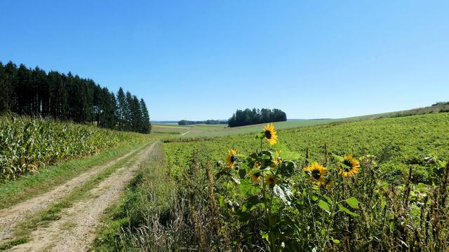 Auf dem Wanderweg zum Herschbachtal | Foto: Dr. Hubert Raab