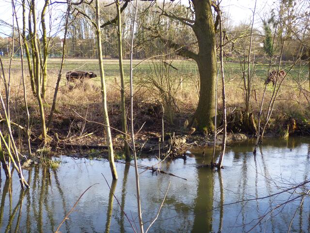 Wo ist das Wasser?
