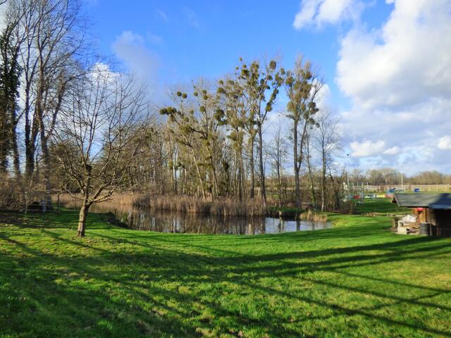 Der Mühlenbach hat seine Quellen im Mühlenteich