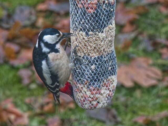 "Prima, wieder echt tolles Futter!"