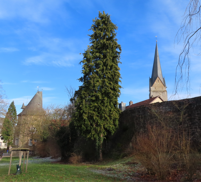 Der "Wollweberturm" (li,) beherbergt ein "griechisches Restaurant" und re. der Turm der ev. "Nikolai-Kirche". | Foto: M. A.