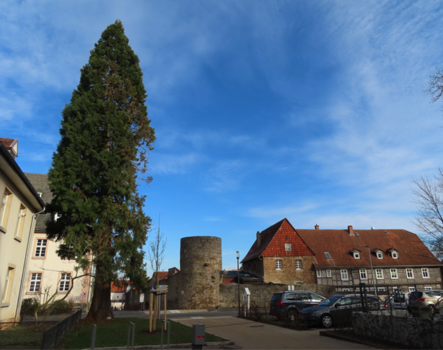 Blick zum "Oberen Herrenhof". | Foto: M. A.