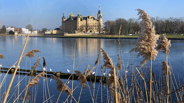  Ufernahe Röhrichte am Burgsee. Foto: Helmut Kuzina